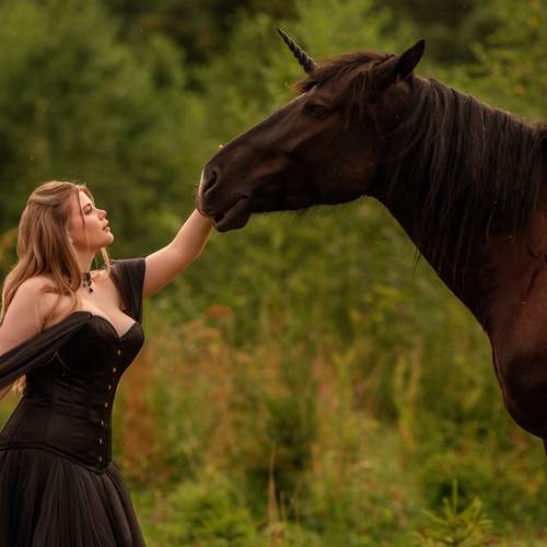 Photo #13369409