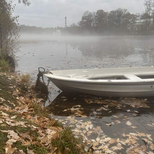 Photo #13369419