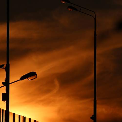 Photo #13369540