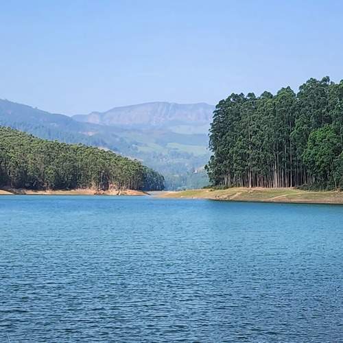 Photo #13369571