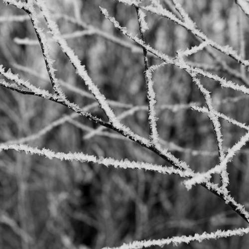 Photo #13369625
