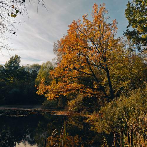 Photo #13369781