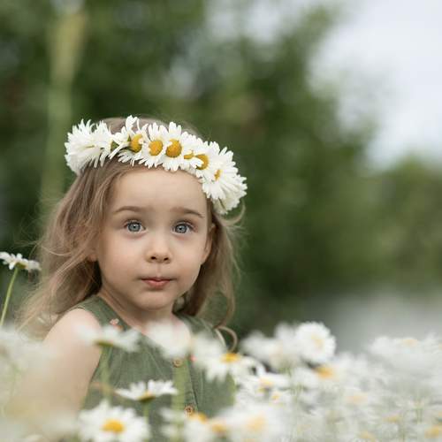 Photo #13369784