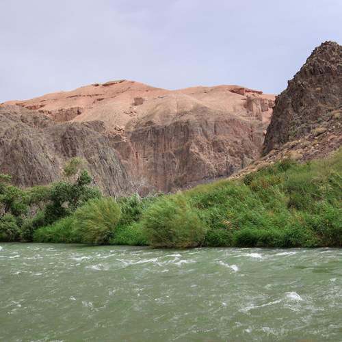 Photo #13369786