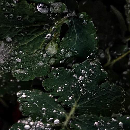 Photo #13369802