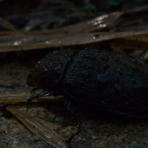 Photo #13369834