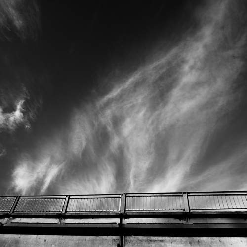 Photo #13369845