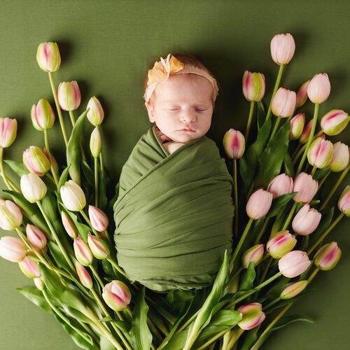 Photo #13369849