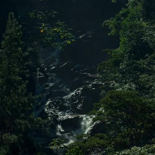 Photo #13369870