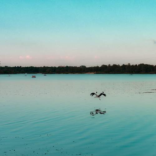 Photo #13369935