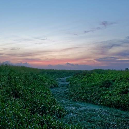 Photo #13369967