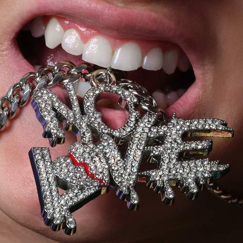 Photo #13370047
