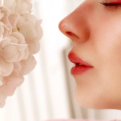 Photo #13370307