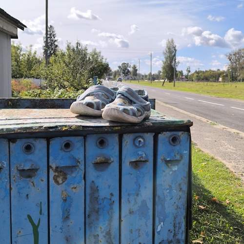 Photo #13370339
