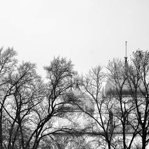 Photo #13370356