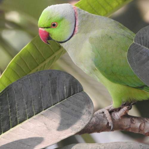 Photo #13370493