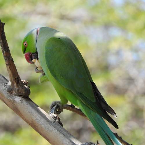 Photo #13370495