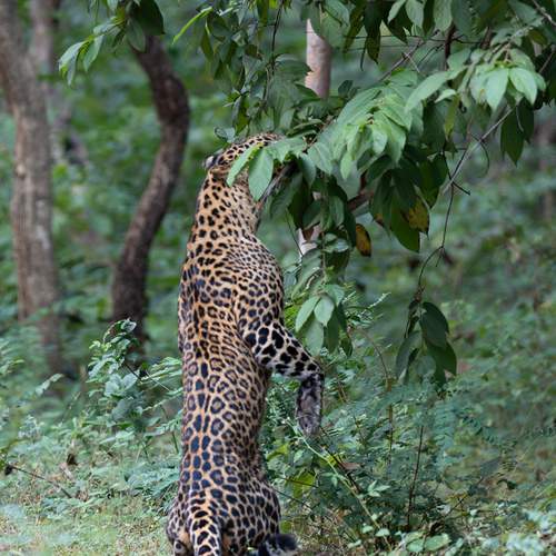 Photo #13370757