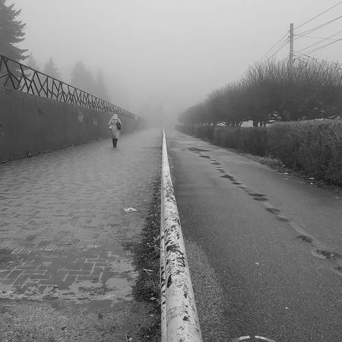 Photo #13370768