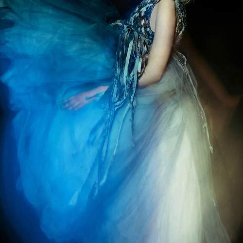 Photo #13370806