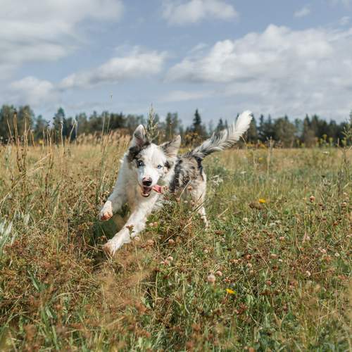 Photo #13370890