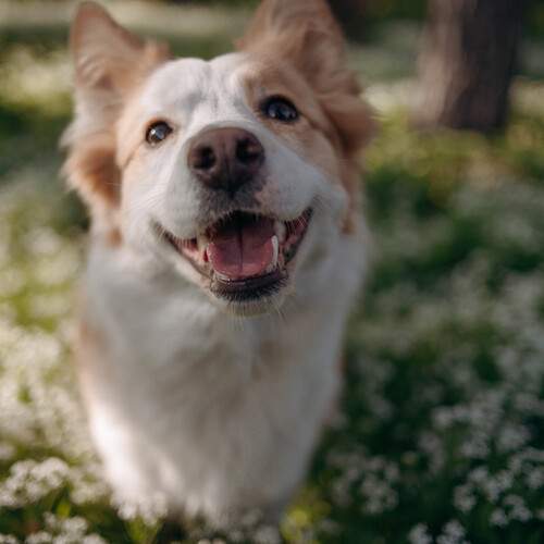Photo #13370949