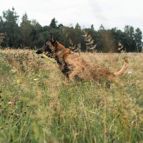 Photo #13370971