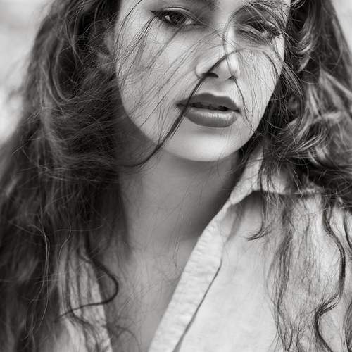 Photo #13370982