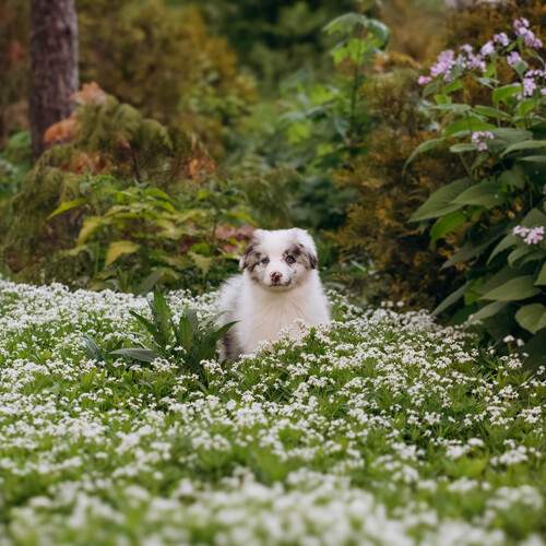 Photo #13371048
