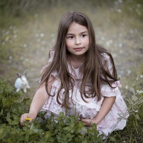 Photo #13371123