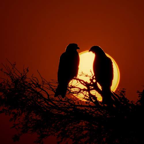 Sunset magic