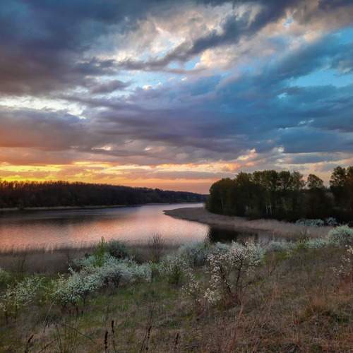 Photo #13371234