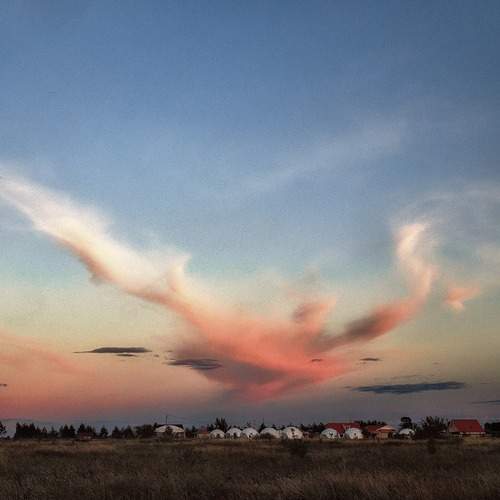 Photo #13371294