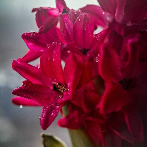 Photo #13371331