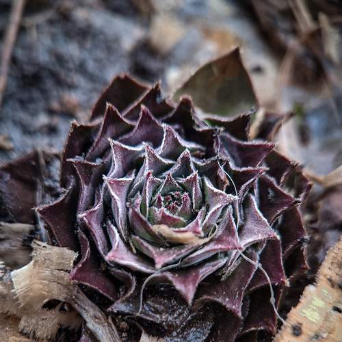 Photo #13371353