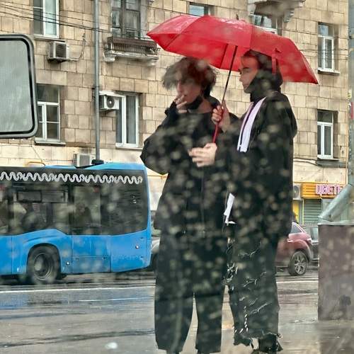 Photo #13371368