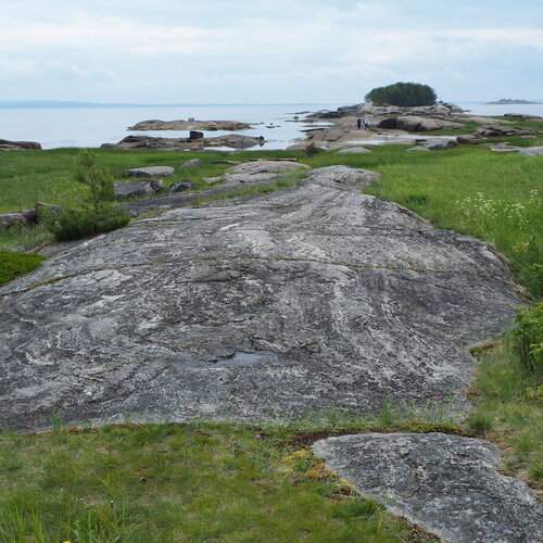 Photo #13371432