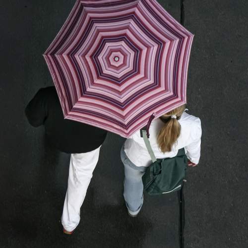 Shared Shelter