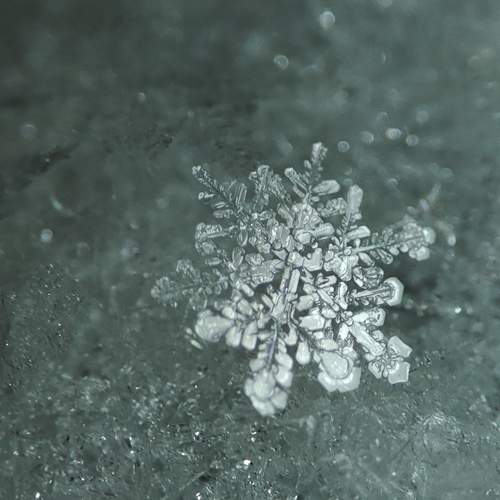 Photo #13371705