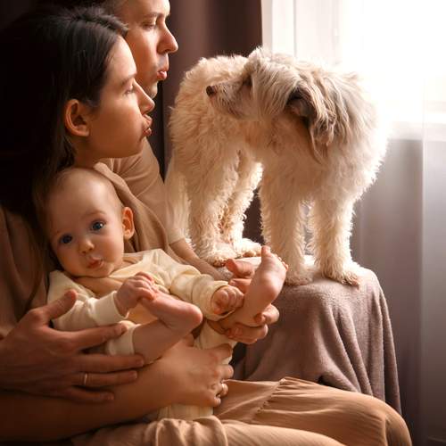 Фотография #13371722