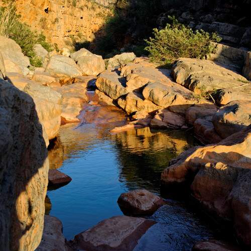 Фотография #13371830