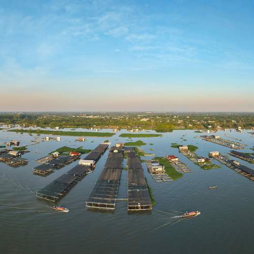 Sinh kế trên dòng nước (Floating Livelihoods)