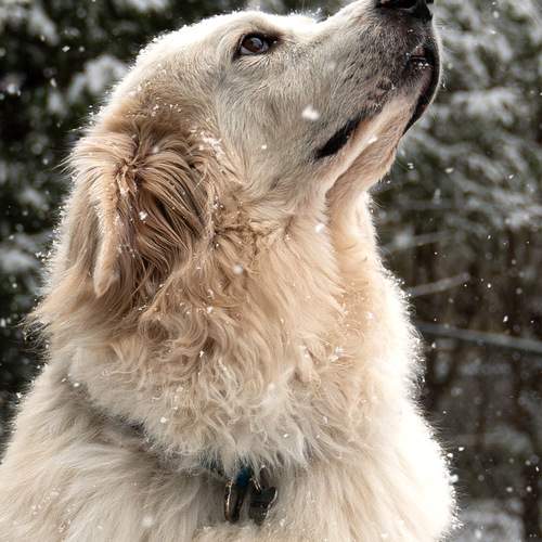 Photo #13371957