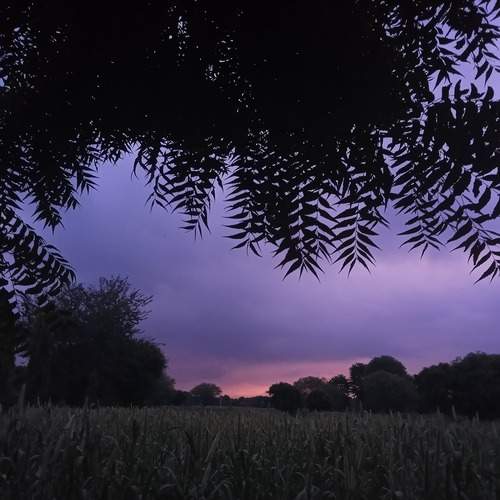 Photo #13371967