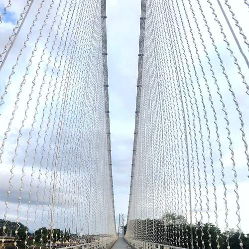 Photo #13372009