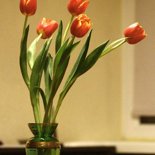 Photo #13372053