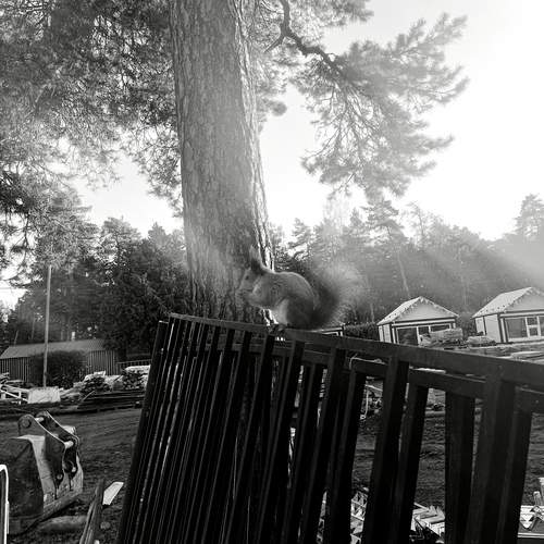 Photo #13372066