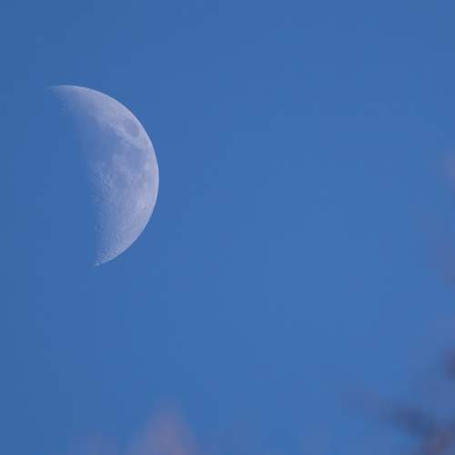 Photo #13372071
