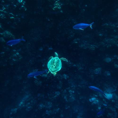 Photo #13372096