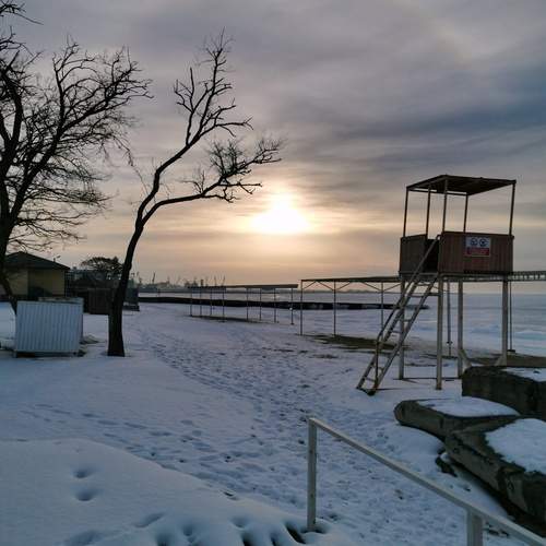 Photo #13372133